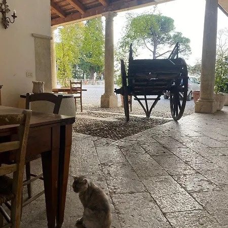 Stecchini 4*