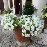 Stecchini