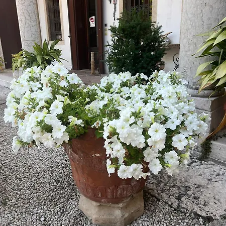 Stecchini