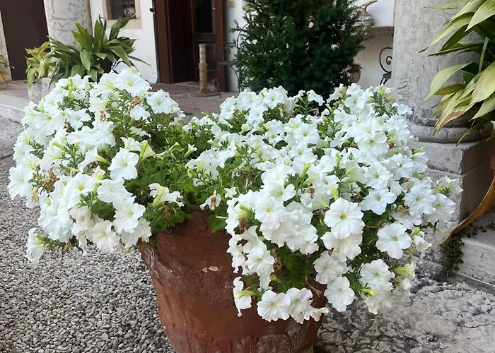 Stecchini
